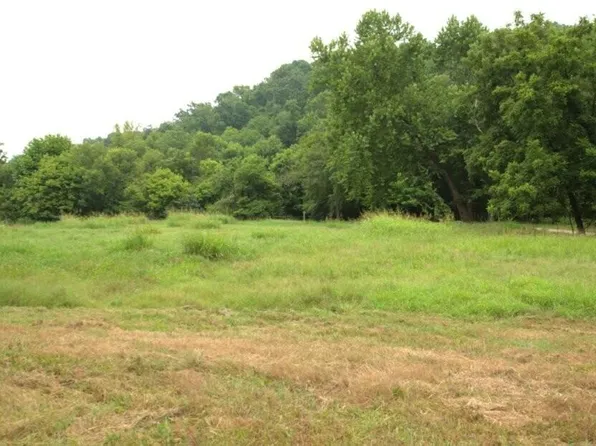 10.75acres Younkers Lane, Noel, MO 64854