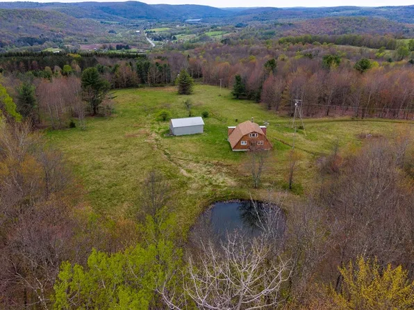806 Sunset Trl, Franklin, NY 13775