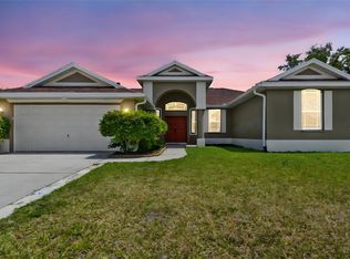 24342 Branchwood Ct, Lutz, FL 33559