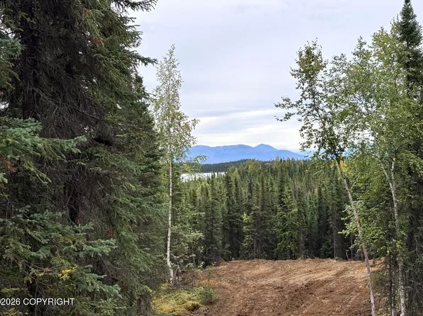 Township Road A4 Aletha Ct, Soldotna, AK 99669