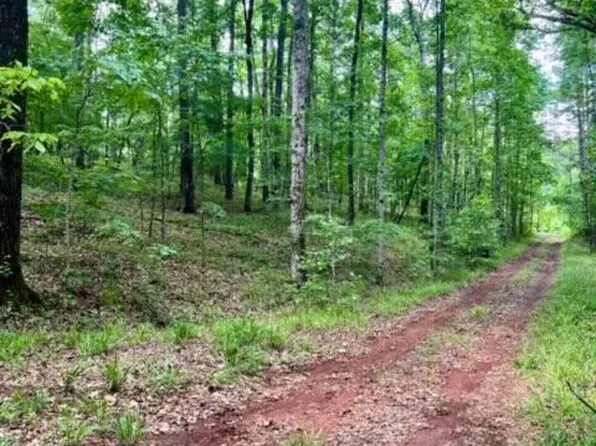 Redbud Ln, Dadeville, AL 36853