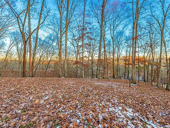 2nd image of 2246 Turkey Ridge Ln