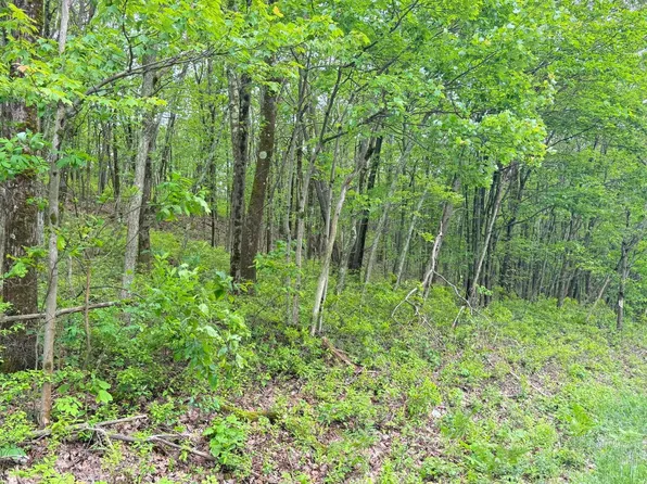 182 Salem Mountain Rd, Carbondale, PA 18407