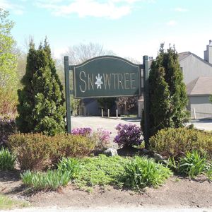 11 Snowtree Lane UNIT I, East Dover, VT, 05341