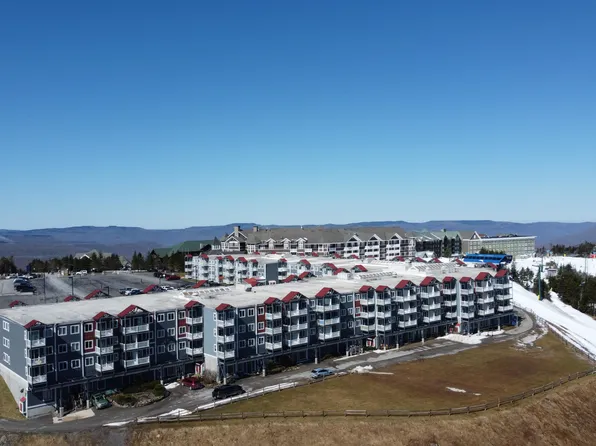 358 Mountain Lodge, Snowshoe, WV 26209
