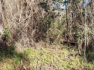 4256 Angora St, Middleburg, FL 32068