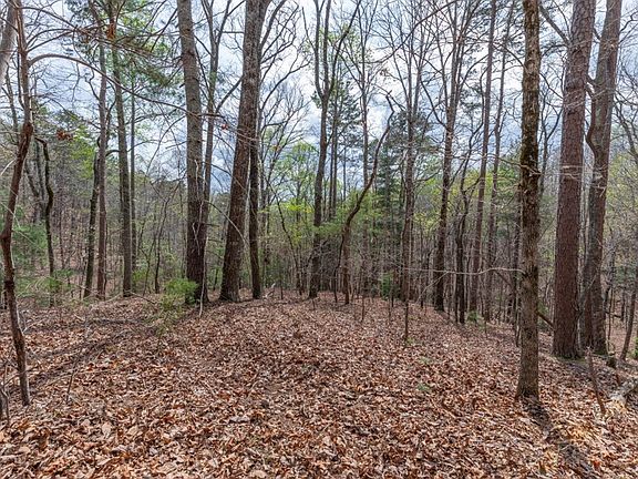 3rd image of LOT 6B Glenridge Way