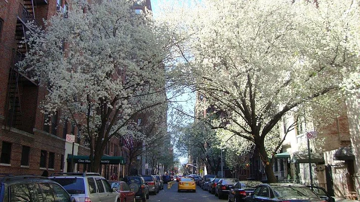 Rented by Dab Hold Corp | media 20