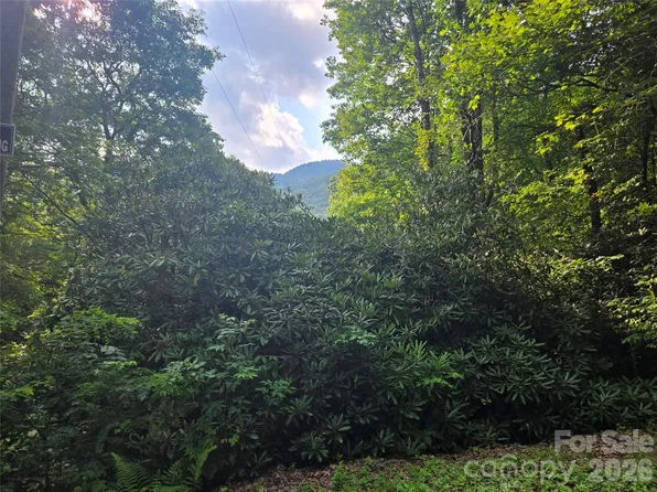 0 Greenspire Dr, Sylva, NC 28779