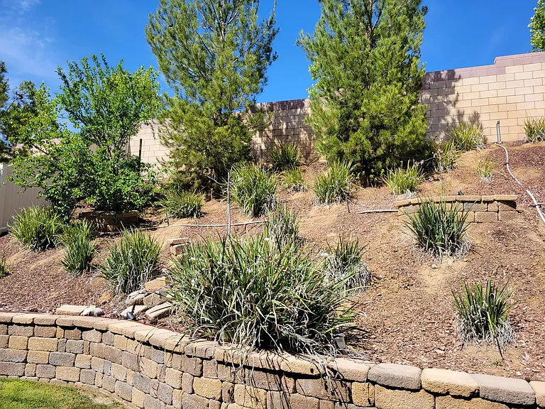34158 Carissa Dr — Photo 22