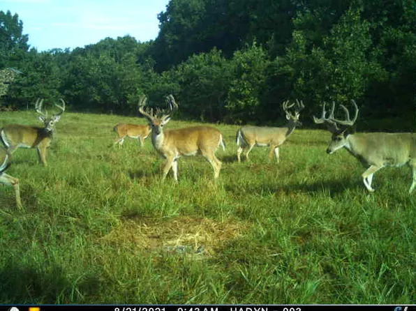 36293 S 565 Road #36293, Jay, OK 74346