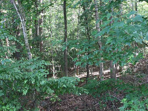 4th image of 422 S Meadow Dr