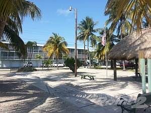 Shuffleboard and a new tiki