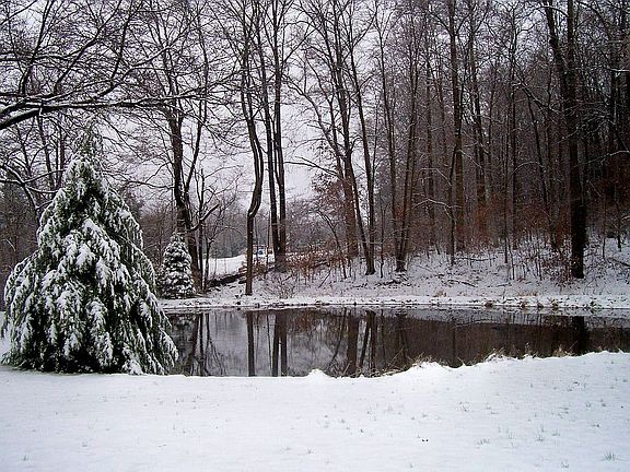 pond perfect for skating