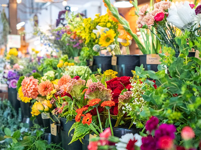 Lancaster Flower Market