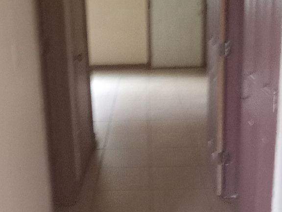 Downstairs Hallway