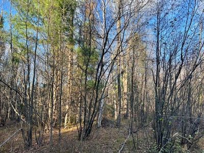 Barker Rd, Amberg, WI, 54102