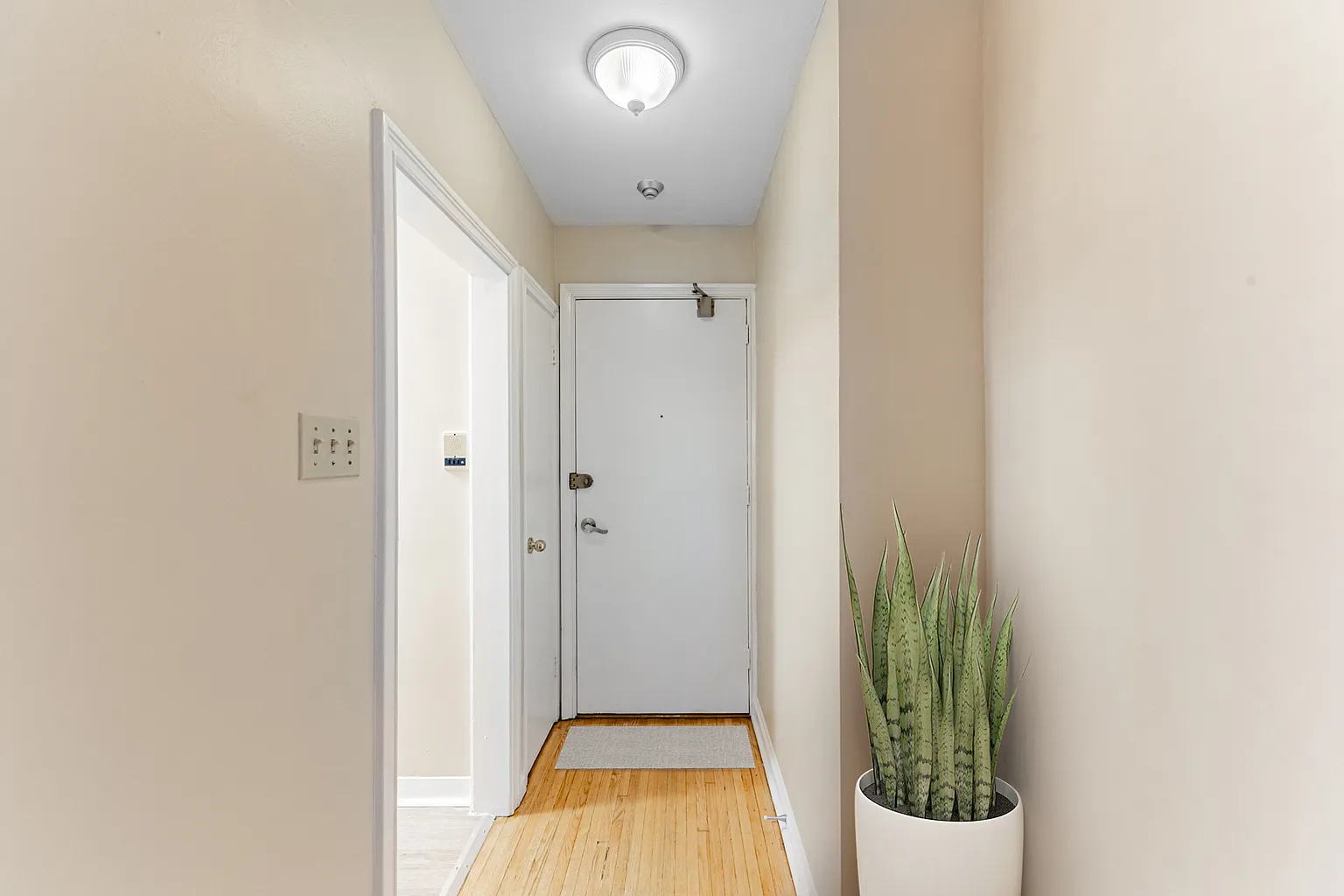 26 Saranac Blvd #5faaf7429 photo 1