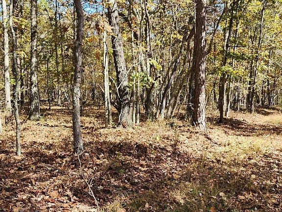 4th image of 0 Highway 411