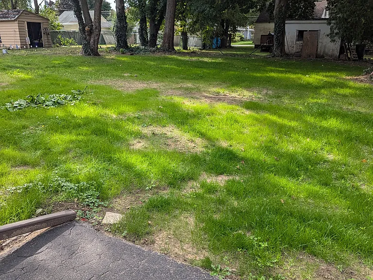 114 Maple Manor Dr — Photo 31