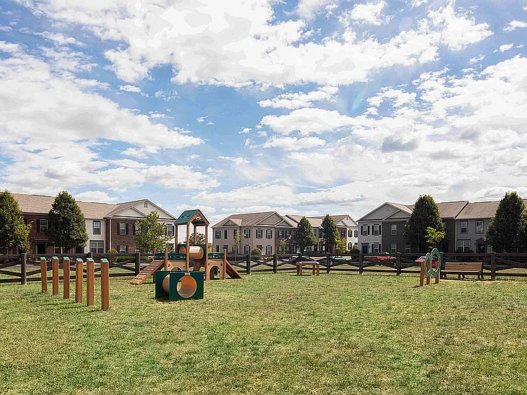 Pet-Friendly Perks at The Mill at Georgetown Apartments