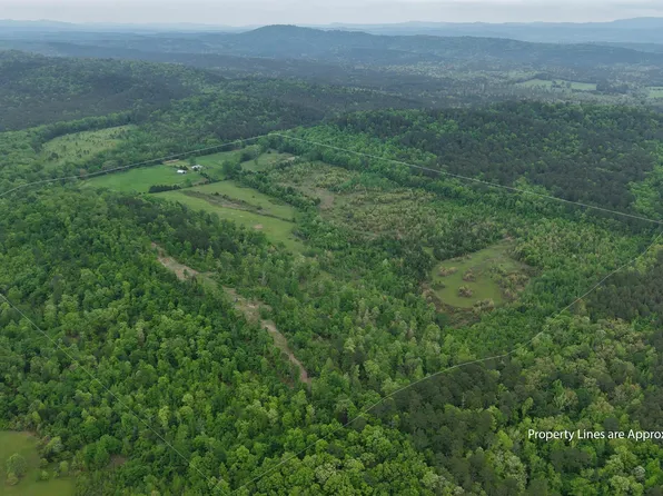 TRACT 9 Ryan Rd, Oden, AR 71961