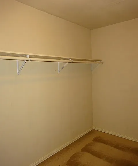 3638 Candlehead Ln — Photo 20