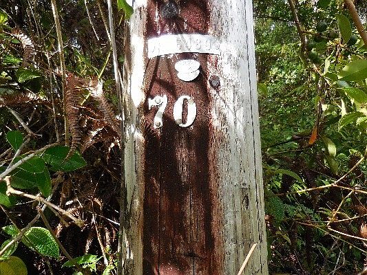2nd image of Road 9 Koloa Maoli Lot 5537