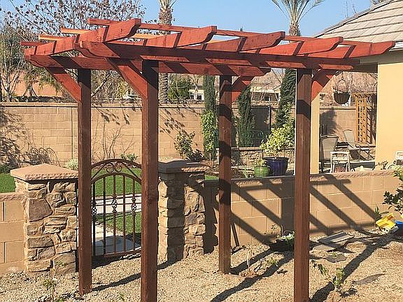 Back garden grape arbor