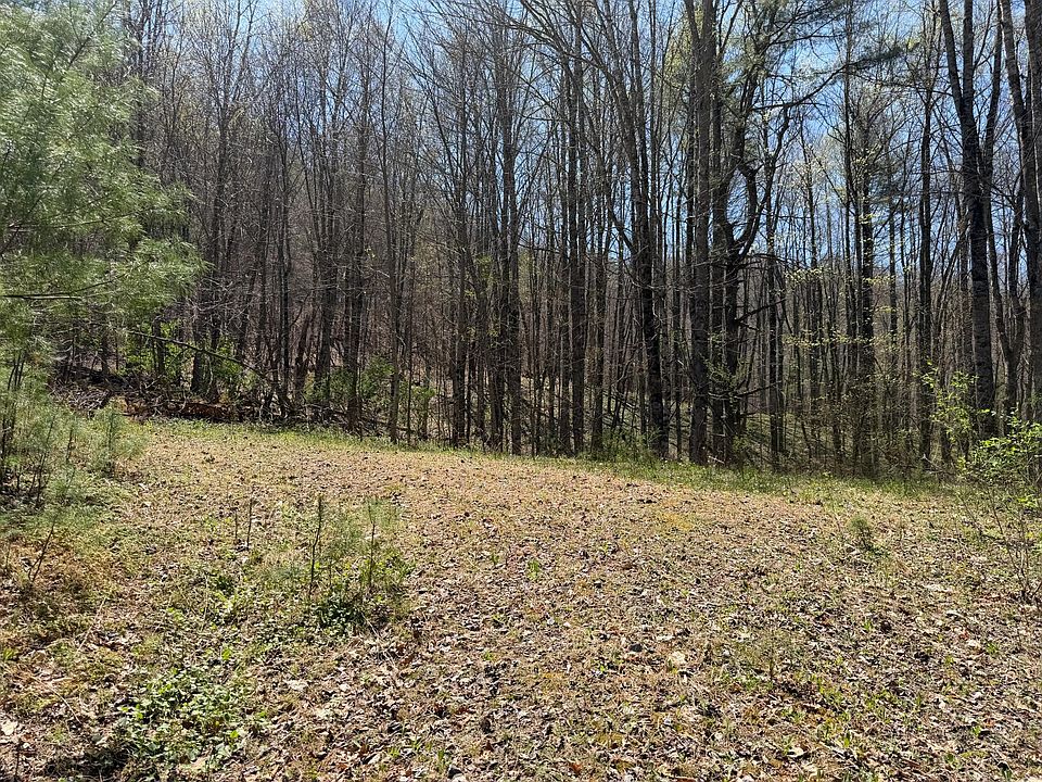 1st image of Morris Branch Rd