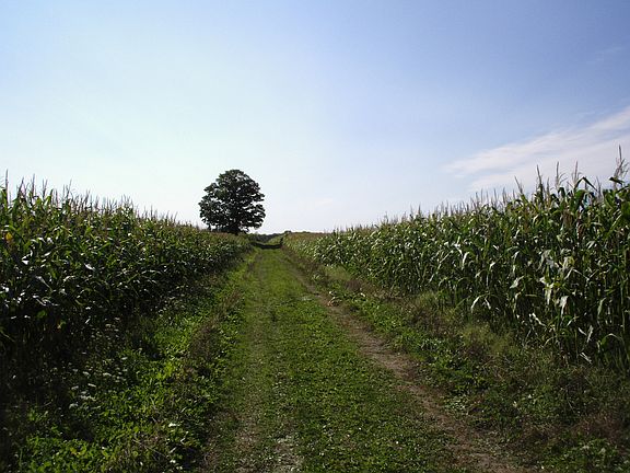 4th image of 14707 County Road 451