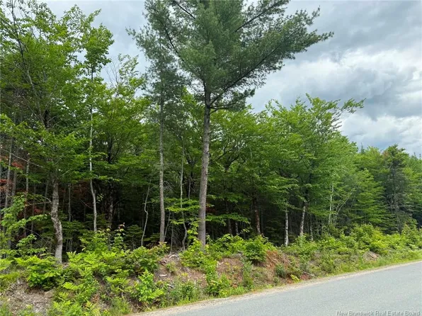 LOT 2 Hansen Rd, Miramichi, NB E1V 0K8