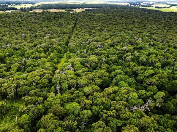 An County Rd #493, Athens, TX 75751