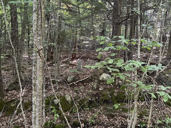 Pike Hill Road #227-004, Plymouth, NH 03264