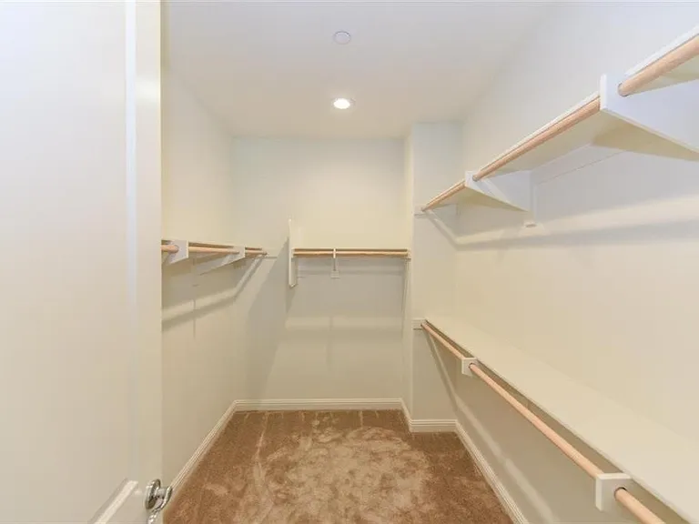 16 Torosa — Photo 9