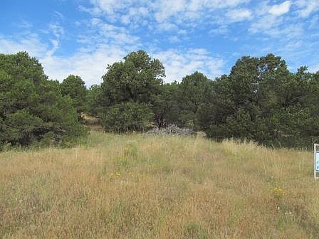 2nd image of LOT 125 Filing 3 Navajo Ranch Resorts Lot 125