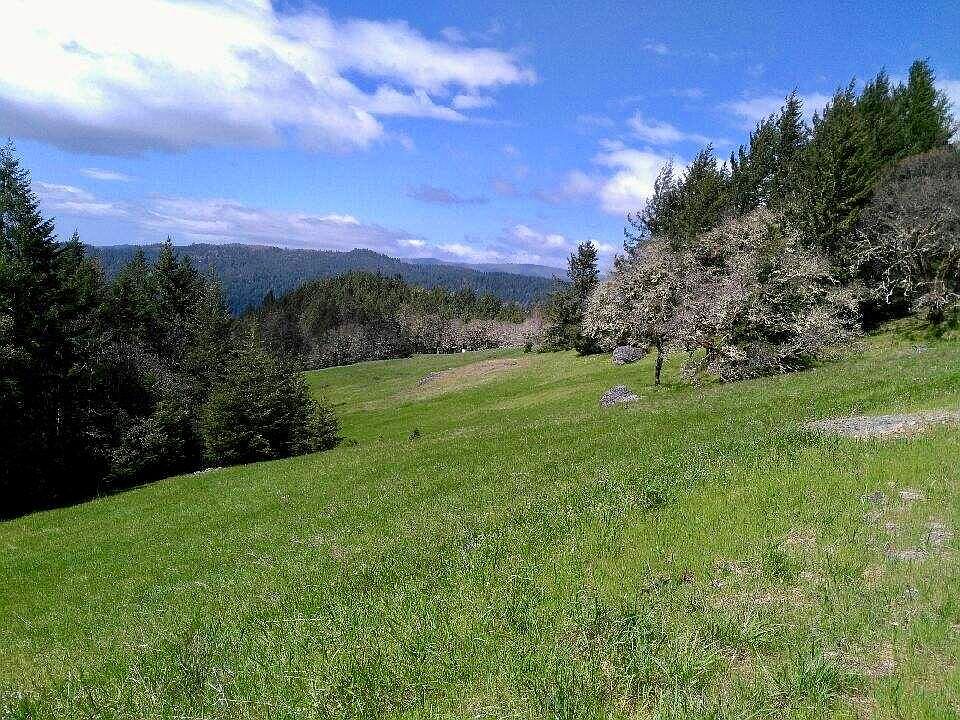 1st image of 33216 State Highway 36