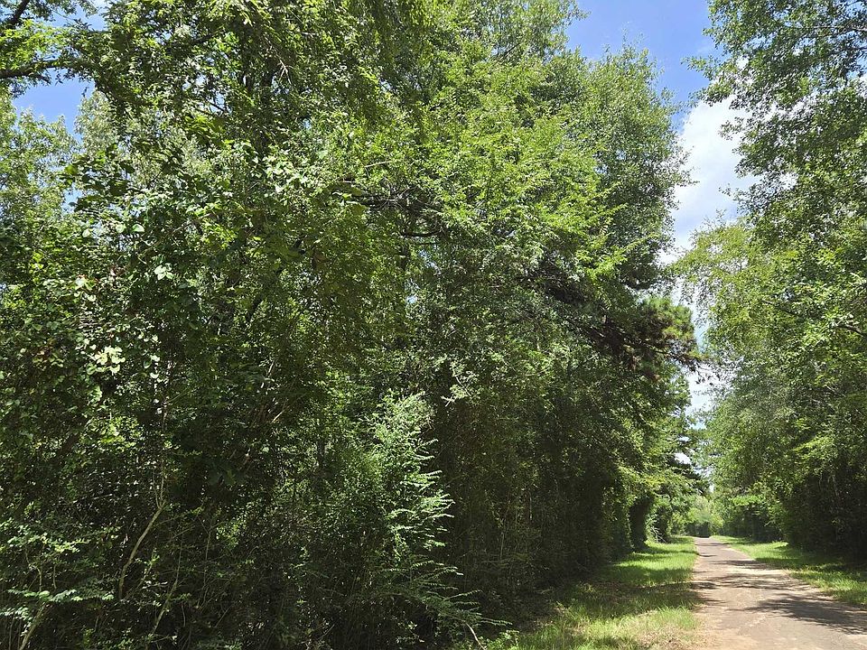 1st image of County Road 154