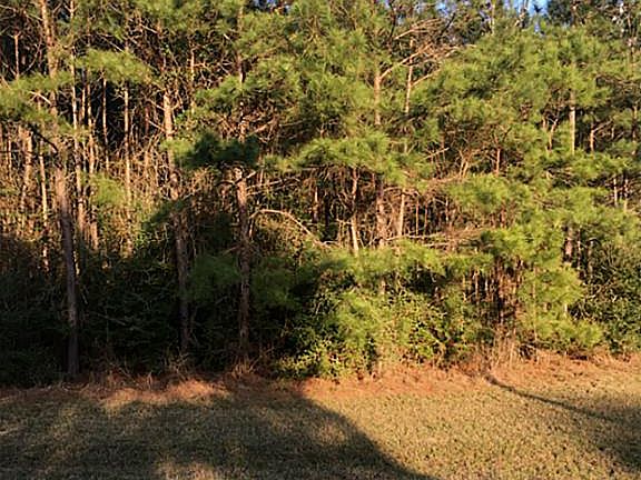 4th image of 28701 Saddle Horn Dr