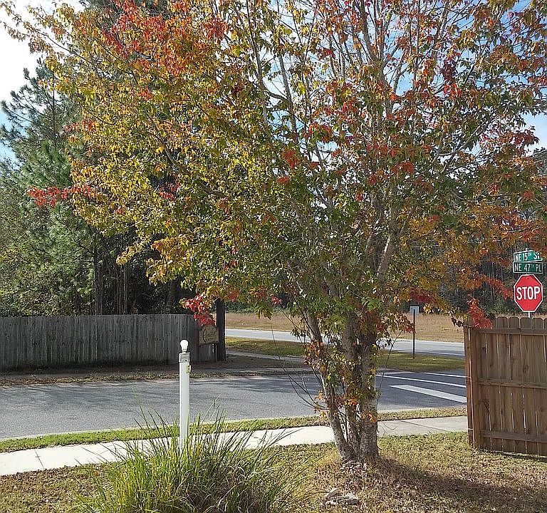 1st image of 1506 NE 47th Pl