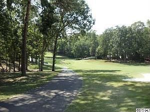 great golf course vistas