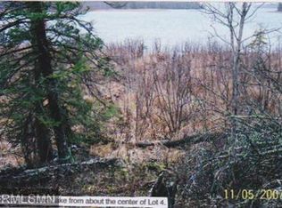 6 Moose Bay Trl, Northome, MN 56661