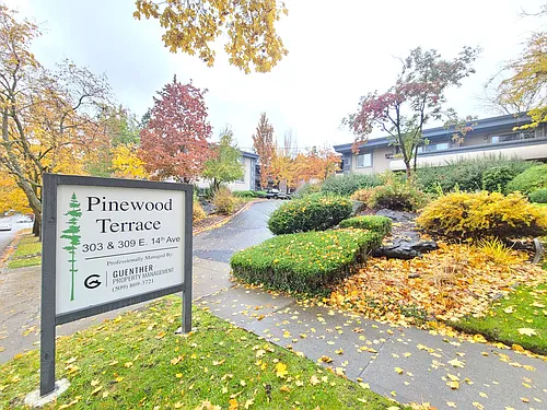 Pinewood Terrace Photo 1