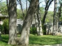 1st image of 901 Briarwood Blvd
