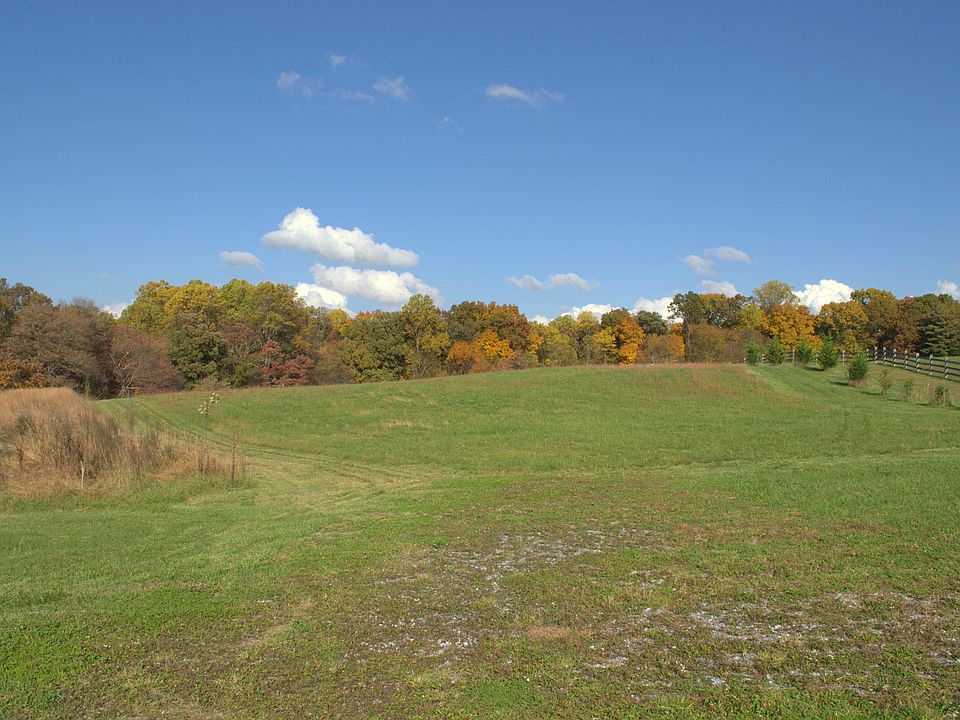 Lot 5 in the fall