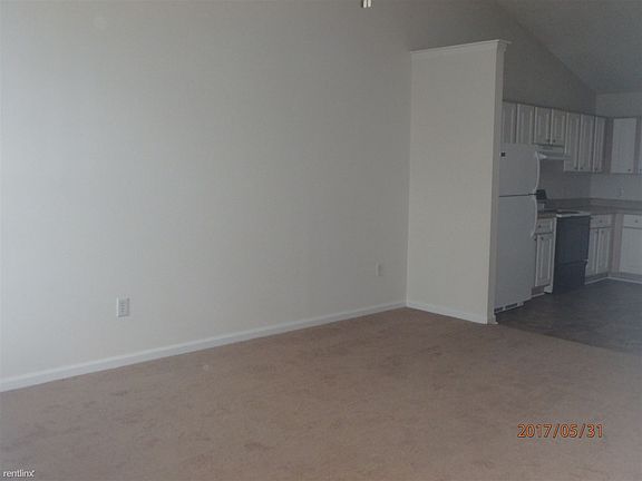 P5310478