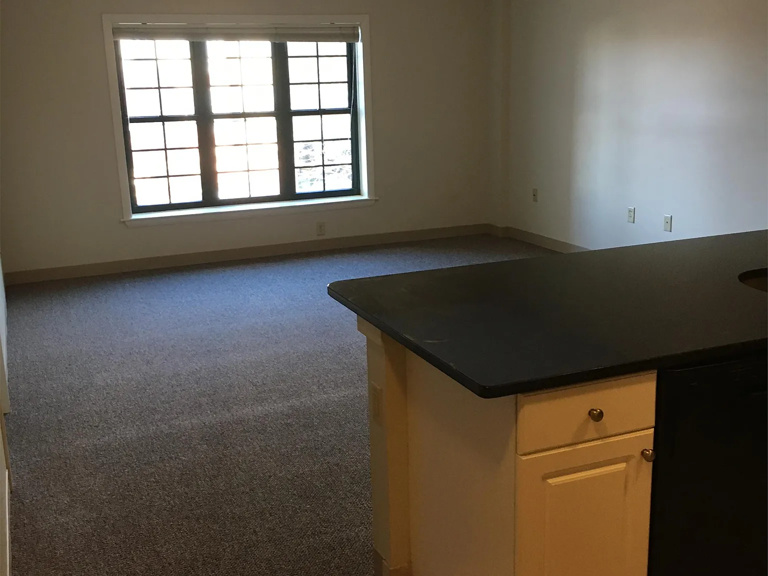 10 Florence Street - 406 — Photo 4