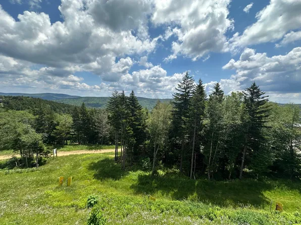 311 Red Spruce Dr, Snowshoe, WV 26209