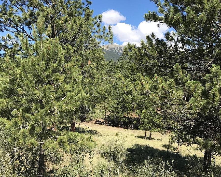 30693 Main Range Dr, Buena Vista, CO 81211 | Zillow