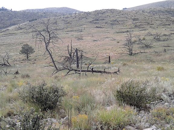 5th image of Vacant Land